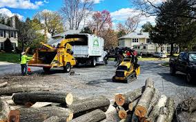 Best Pest Control for Lawns  in Emerald Lakes, PA