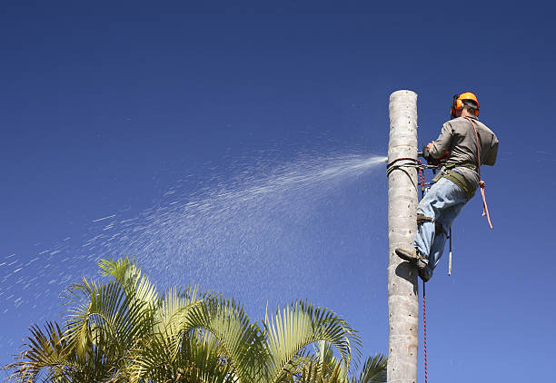 Best Lawn Pest Prevention  in Emerald Lakes, PA